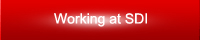Software Developers
