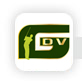 golfdv golfdv