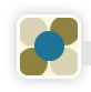Software Developers India