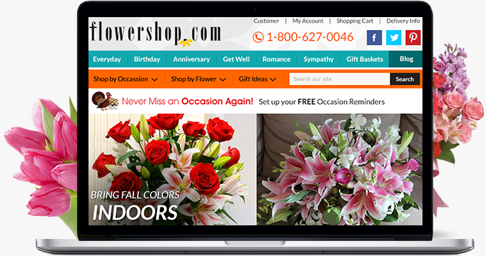 Web Design and Development Web Design and Development