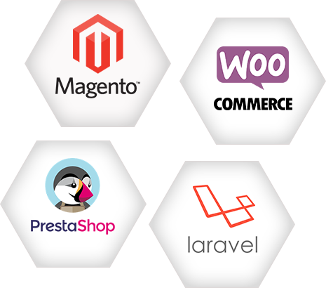 Web Development Company Web Development Company