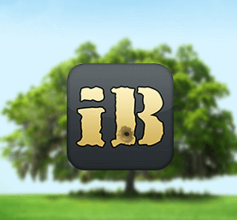 iBranch